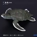 仿真野生動物模型烏龜棕熊道具海洋生物章魚螃蟹狐貍