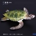 仿真野生動物模型烏龜棕熊道具海洋生物章魚螃蟹狐貍