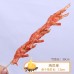 仿真羊肉串模型燒烤雞翅魷魚假食物食品烤爐道具拍攝擺件樣品玩具