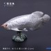 仿真野生動物模型烏龜棕熊道具海洋生物章魚螃蟹狐貍