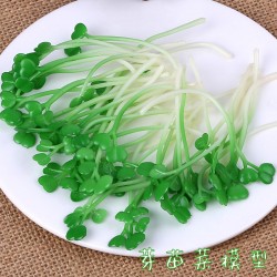 仿真菜苗模型豆芽菜芽苗菜雞毛菜品品種菜品配件搭配拍攝道具玩具