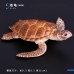 仿真野生動物模型烏龜棕熊道具海洋生物章魚螃蟹狐貍