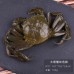 仿真海鮮模型生鮮果蔬菜品扇貝生蠔海參鮑魚魷魚螃蟹龍蝦道具玩具