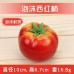 高仿真西紅柿蔬菜泡沫模型假番茄畫室攝影食品食物展示道玩具