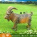 仿真動物園模型場景配件假山鳥巢樹樁農場莊園玩具圍欄柵道具