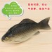 仿真鯽魚模型塑料淡水假魚掛串蔬菜水果食物玩具農家裝飾掛件道具